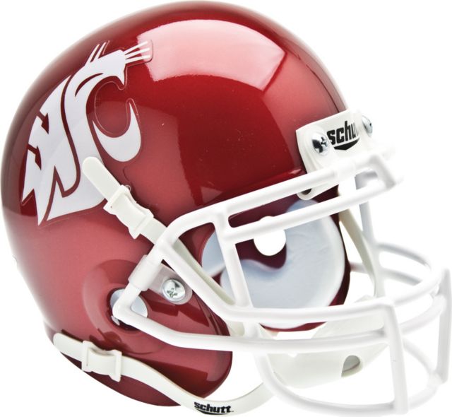 create your own mini football helmet Customizable Mini Helmets  Green Gridiron, Inc