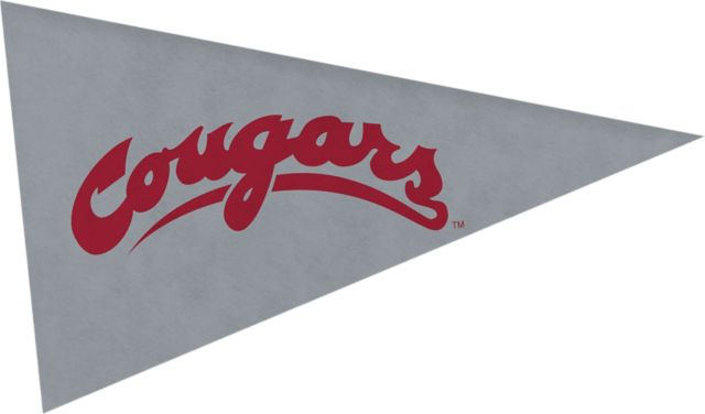 Washington State University Cougars Mini Magnet Pennant