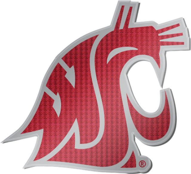 Washington State University Brooch