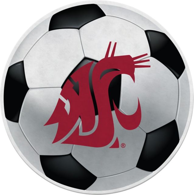 Washington State University 18x18 Soccer Pennant
