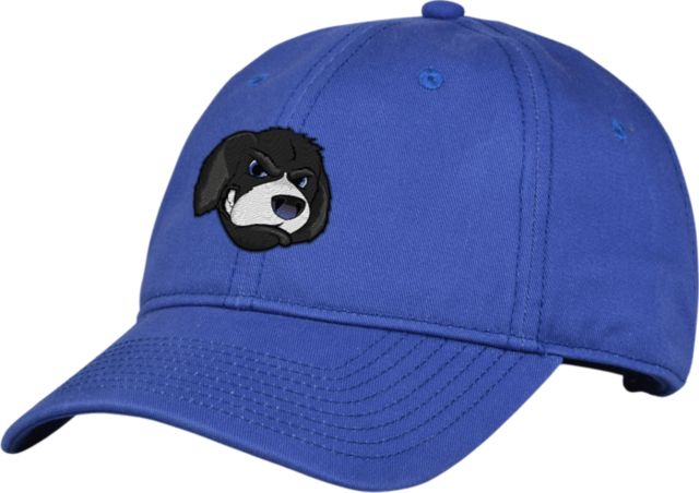 Lewis & Clark Community College Adjustable Cap