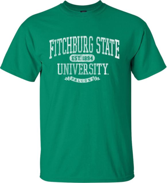 : Fitchburg State University Official One Color Falcon Logo  Juniors' Sheer Fitted V-Neck T Shirt, Black, Small : Sports & Outdoors