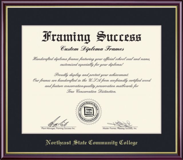 Northeast State 8.5'' x 11'' Value Price Academic Diploma Frame