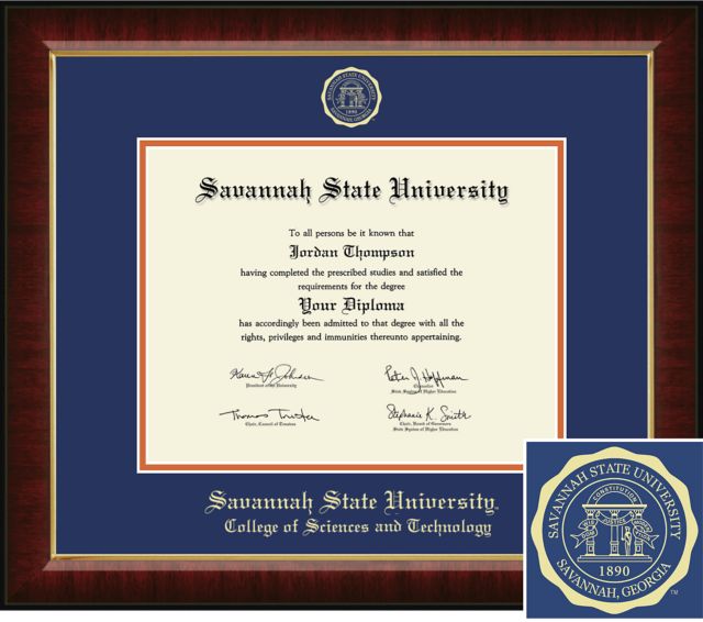 Church Hill Classics Embossed, Sciences and Technology, 8.5x11, Bachelors, Masters Diploma Frame - ONLINE ONLY