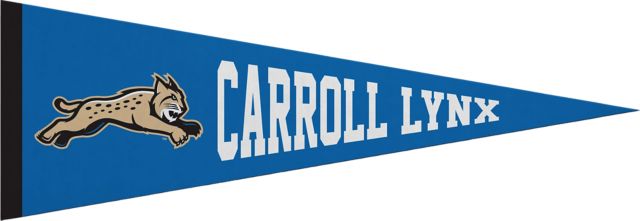 Carroll Community College 5x15 Pennant