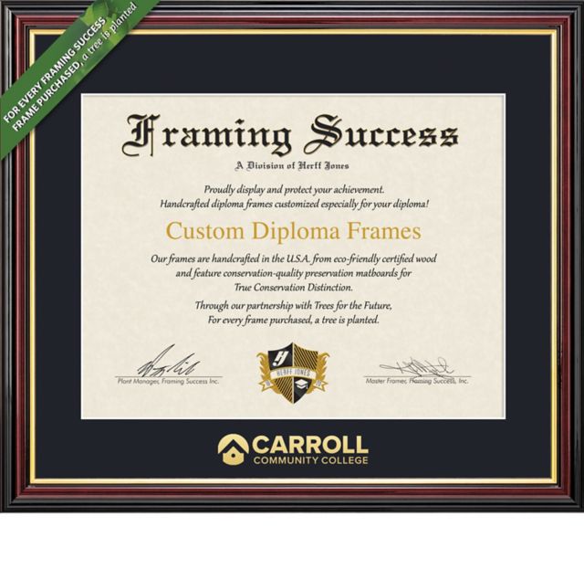 Carroll Community College 8'' x 10'' VP Diploma Frame