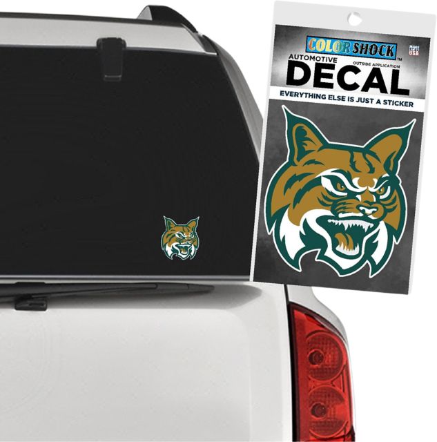 East Georgia State College Decal