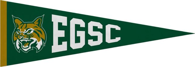 East Georgia State College 5x15 Pennant