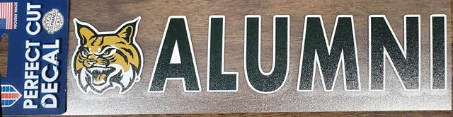 East Georgia State College 3x10 Alumni Decal