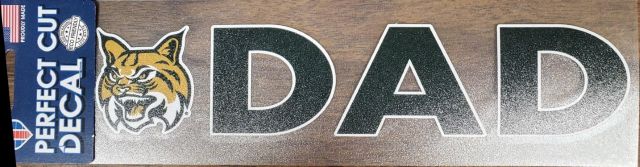 East Georgia State College 3x10 Dad Decal