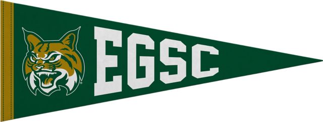 East Georgia State College 9"X24" Full Color Pennant