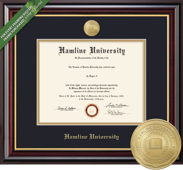 Hamline University 8.5'' x 11'' Windsor Diploma Frame