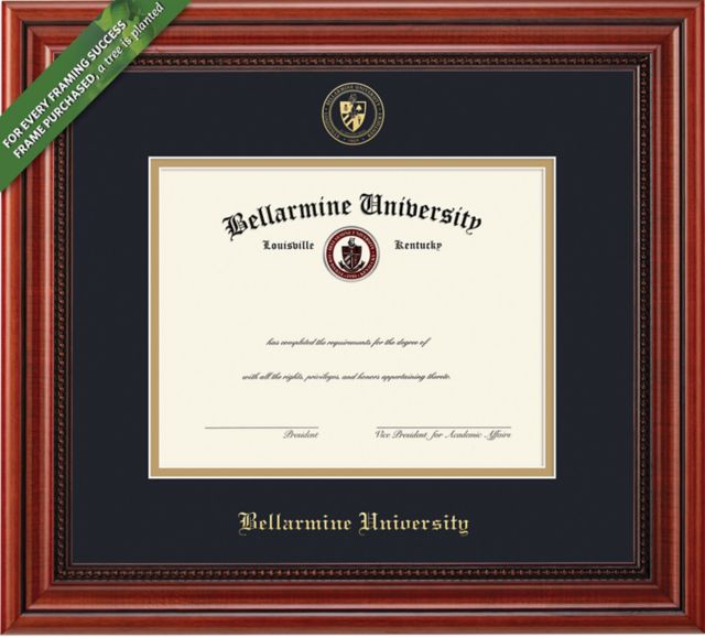 Widener University 11" x 14" Diploma Frame