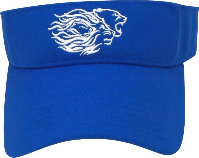 Widener University  Visor