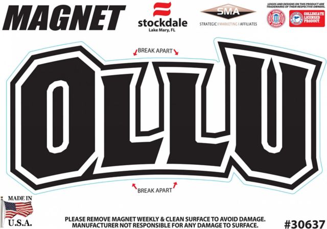 Our Lady of the Lake University Saints 4" x 4" Magnet