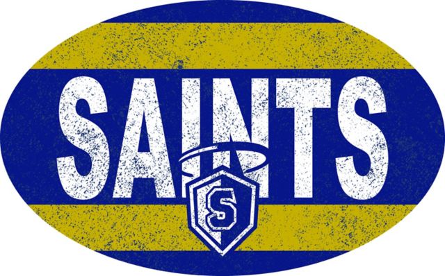 Our Lady of the Lake University Saints State Flag Decal: Our Lady of the  Lake University