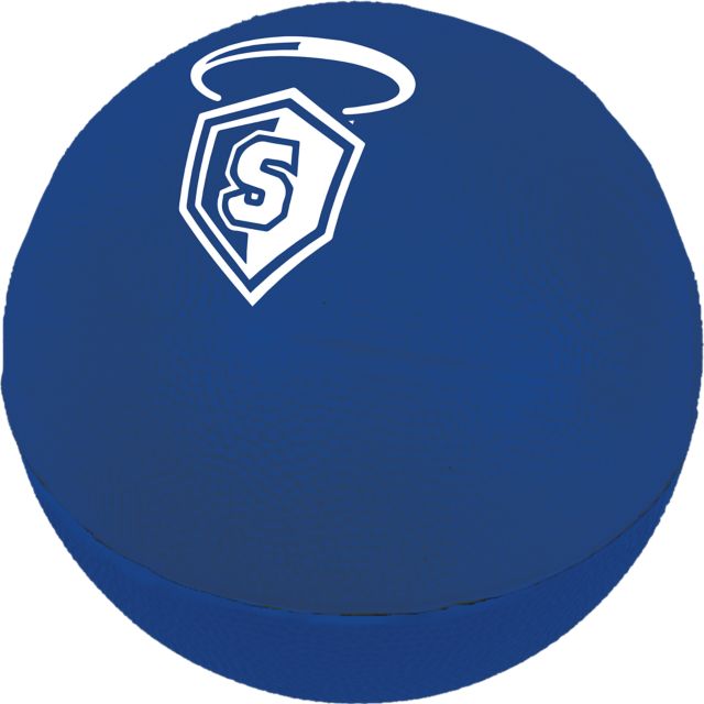 Large 6 Foam Basketball