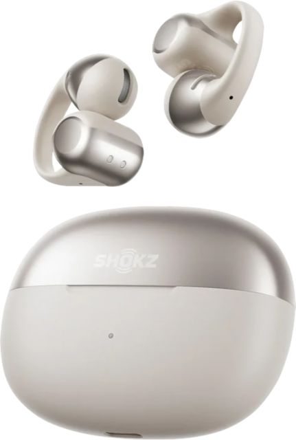 Shokz OpenDotsONE Earbuds Grey