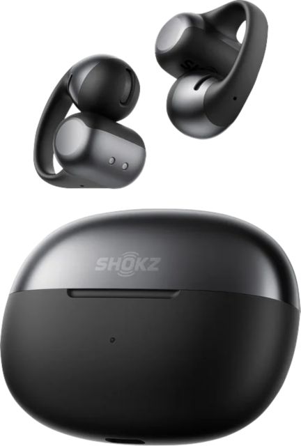 Shokz OpenDotsONE Earbuds BLACK