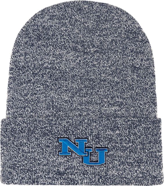 Northwood University  Beanie