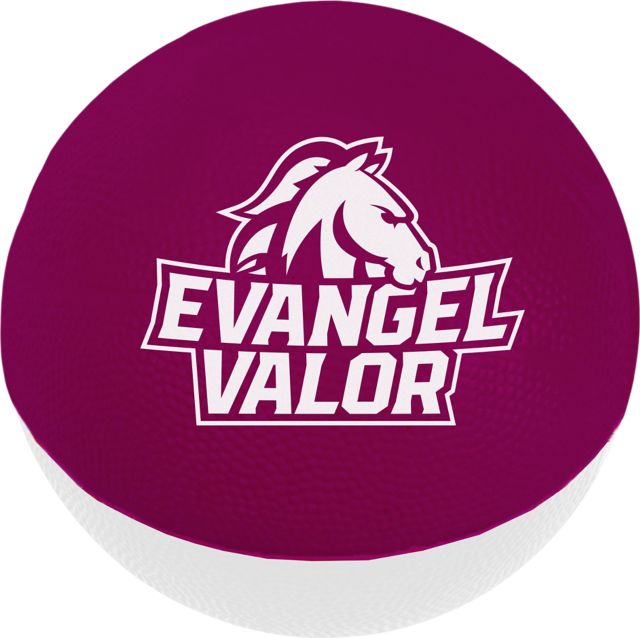 Large 6 Foam Basketball