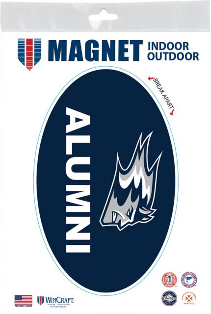 University of Wisconsin - Stout Alumni 3.5 x 5.5 Oval Magnet