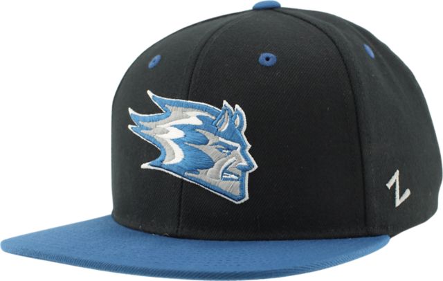 University of Wisconsin - Stout Blue Devils Snapback Cap