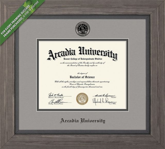 Framing Success Greystone 11 x 14 Diploma with Double mat - ONLINE ONLY
