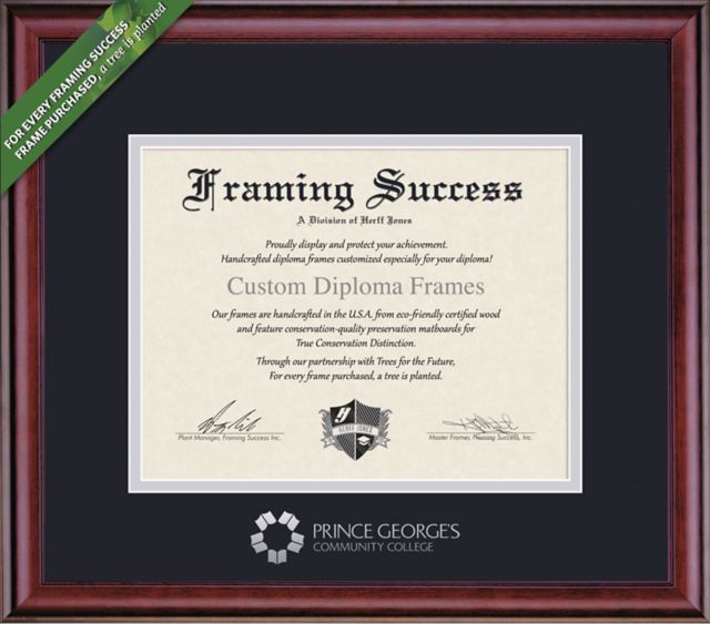 Framing Success Classic 8 x 10 Diploma with Double mat- ONLINE ONLY
