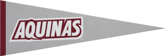 Aquinas College 5x15 Pennant