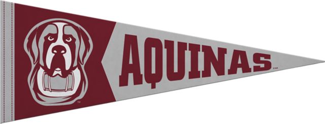 Aquinas College Saints 9x24 Pennant