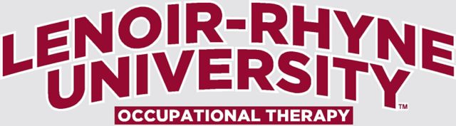 Lenoir-Rhyne University Aerospace Decal