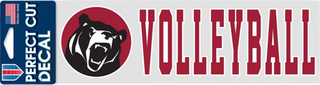 Lenoir-Rhyne University Volleyball 3'' x 10'' Perfect Cut Decal