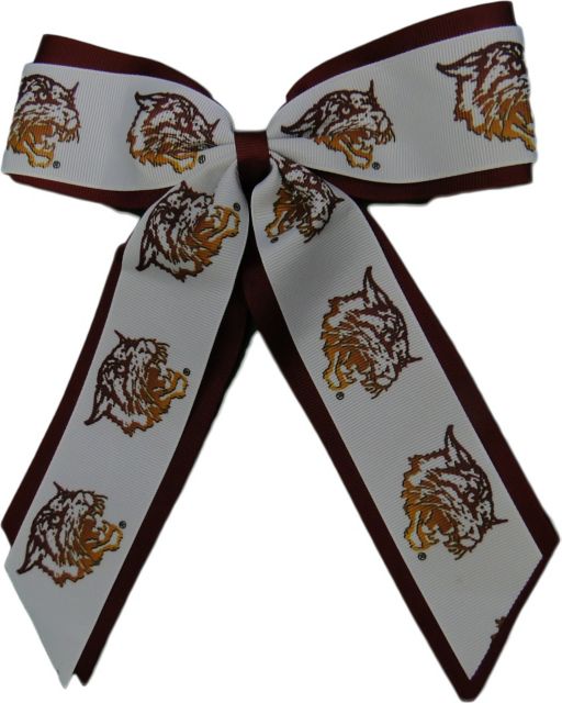 Bethune-Cookman University Child Cheer Pony