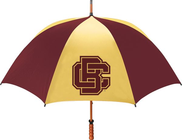Bethune-Cookman University Wildcats 62'' Windshaft Umbrella