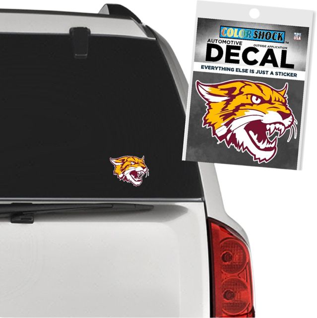 Bethune-Cookman University Wildcats Decal