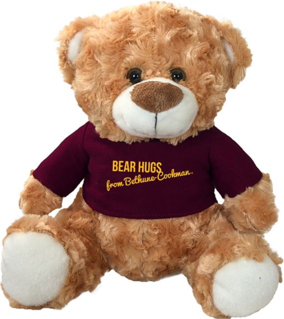 Bethune-Cookman University 10 in. Plush Bear