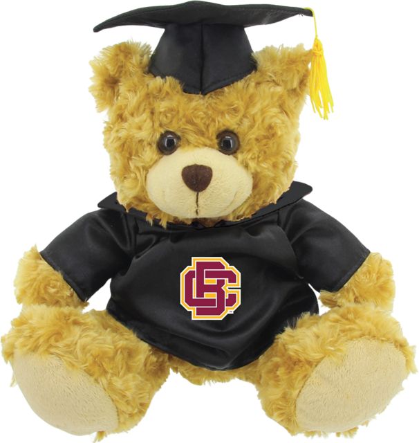 Bethune-Cookman University 12'' Graduation Plush Bear - ONLINE ONLY
