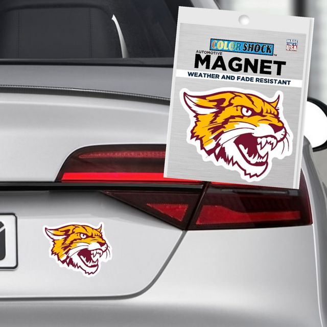 Bethune-Cookman University 4x4 Magnet
