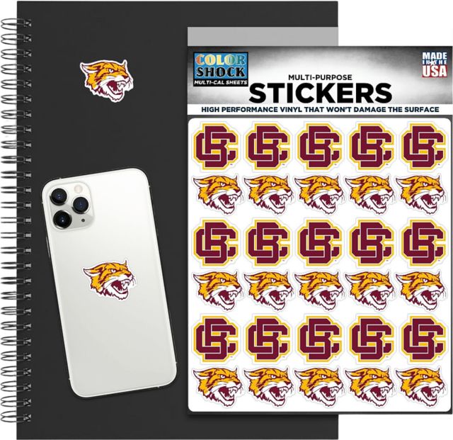 Bethune-Cookman University 7.5'' x 7.5'' Sticker Sheet