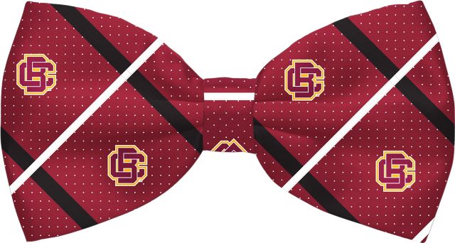 Bethune-Cookman University Bow Tie