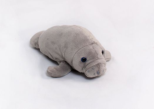 State College of Florida 12'' Manatee Push Toy