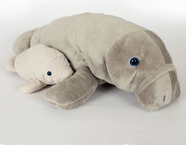 State College of Florida 17'' Manatee With 8'' Baby Push Toy