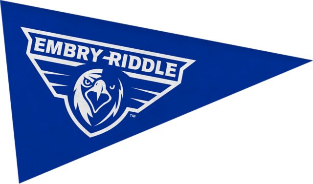 Embry Riddle Aeronautical University Eagles Mini Magnet Pennant