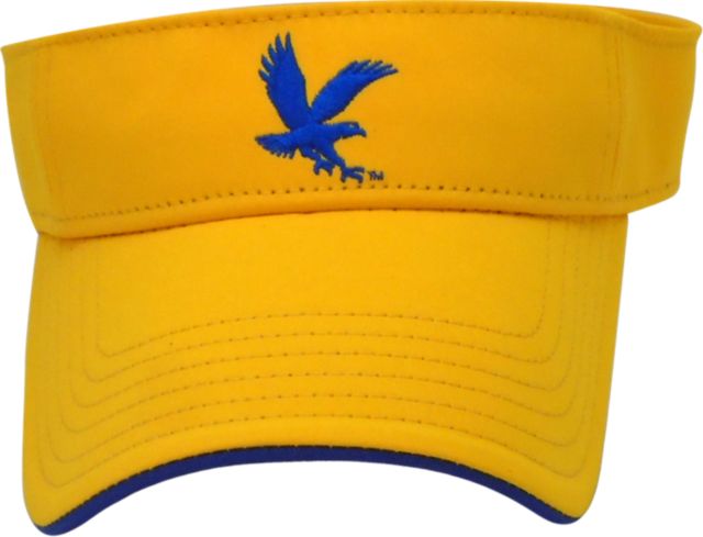 Embry Riddle Aeronautical University Visor