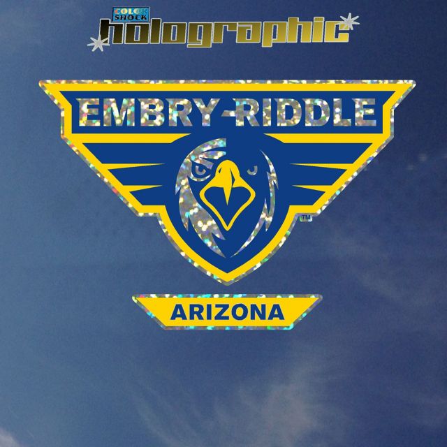 Embry Riddle Aeronautical University Eagles Hologram Decal