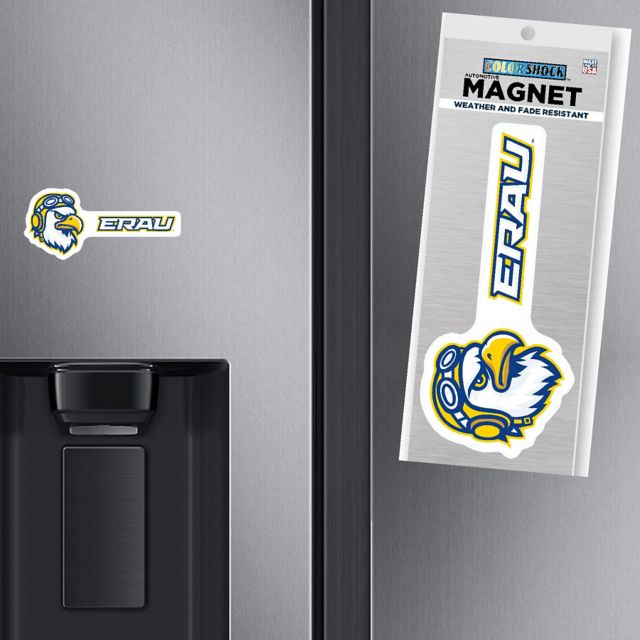 Embry Riddle Aeronautical University Mini Magnet