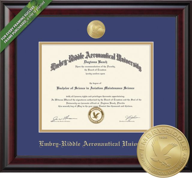 Framing Success Classic 8.5 x 11 BA/MA Diploma with Double mat and Medallion