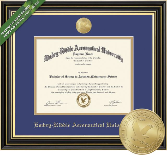 Framing Success Prestige 8.5 x 11 BA/MA Diploma with Double Mat and Medallion