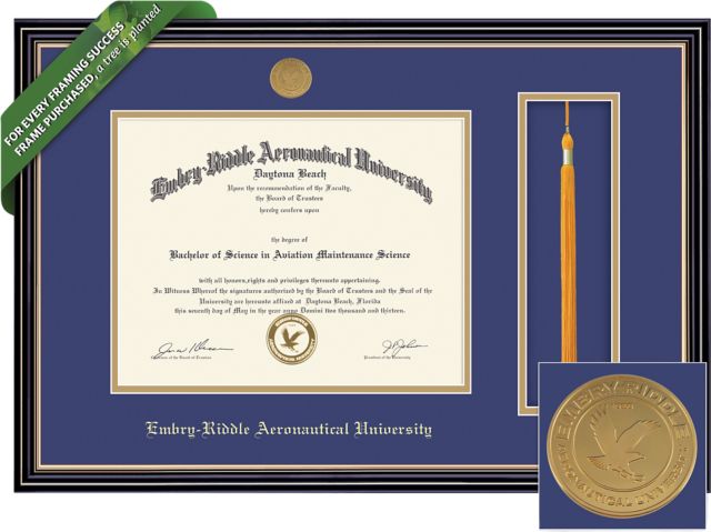 Framing Success Prestige 8.5 x 11 BA/MA Diploma and Tassel Cut-out with Double mat and Medallion
